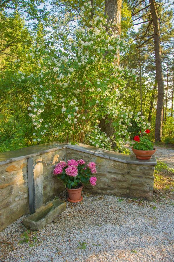 Il Ginepro Cortona Exterior foto